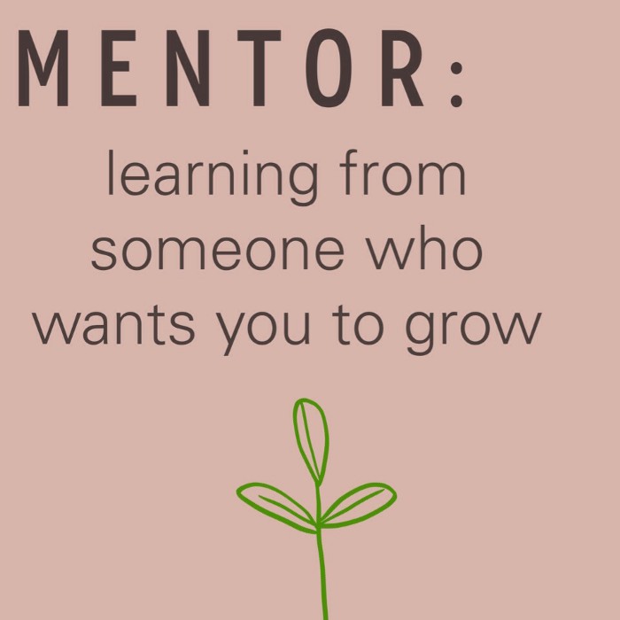 MENTOR: learning from someone who wants you to grow